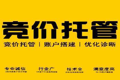 实战经验：竞价推广案例解析与优化策略分享